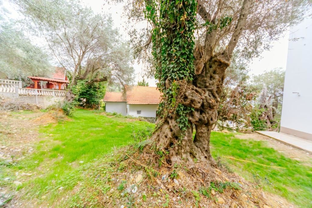 Гостевой дом Teuta Apartments Улцинь