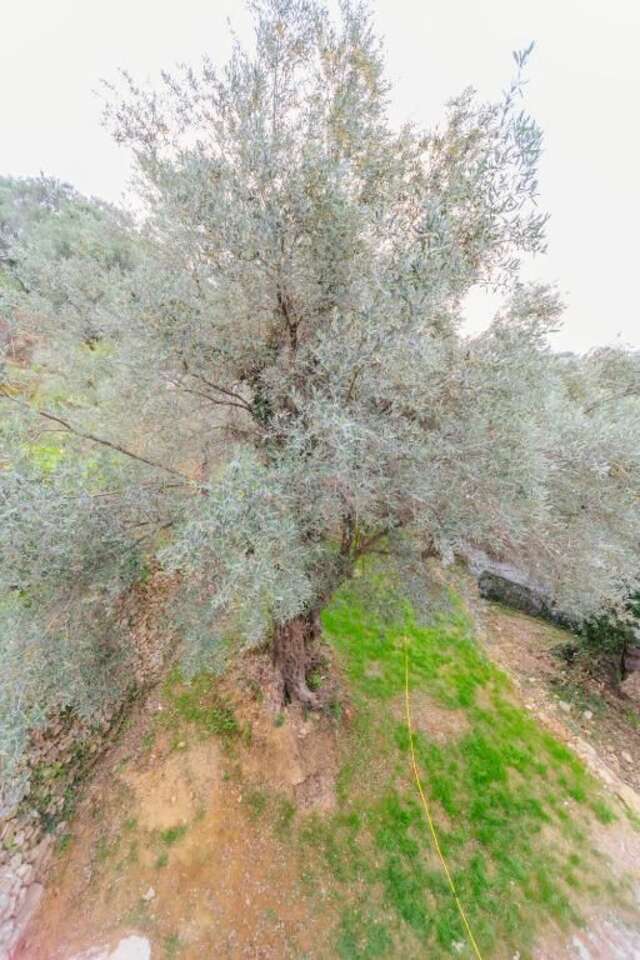 Гостевой дом Teuta Apartments Улцинь-84